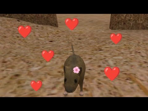 Видео: Игра мышка 2 часть💟😍