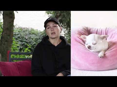 Видео: Щенок. Что приготовить к приезду щенка.