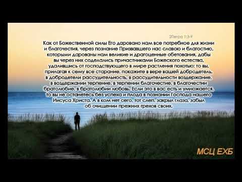 Видео: "Больше и больше старайтесь". Н. С. Антонюк. Проповедь. МСЦ ЕХБ.