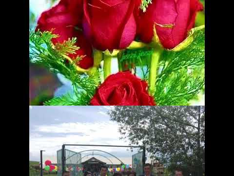 Видео: Кыз-кол жырма жылдык 82-лер