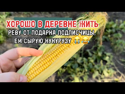 Видео: В село приехал помощник, который помог заштукатурить печь 👀🌚