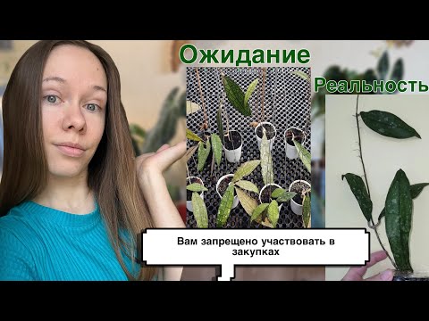 Видео: GreenGarden так НЕЛЬЗЯ! Цветочный магазин потерял клиента