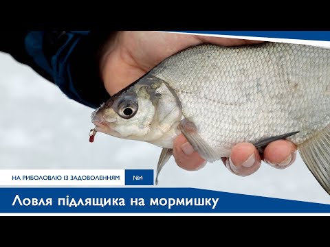 Видео: Ловля підлящика на мормишку | На Риболовлю із Задоволенням №4