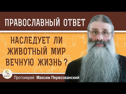 Видео: НАСЛЕДУЕТ ЛИ ЖИВОТНЫЙ МИР ВЕЧНУЮ ЖИЗНЬ ?  Протоиерей Максим Первозванский