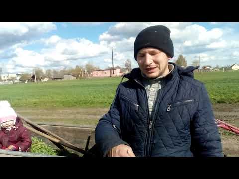 Видео: ПЕРВЫЙ УКОС ТРАВЫ В 2021// ЛАКОМСТВО ДЛЯ КРОЛИКОВ