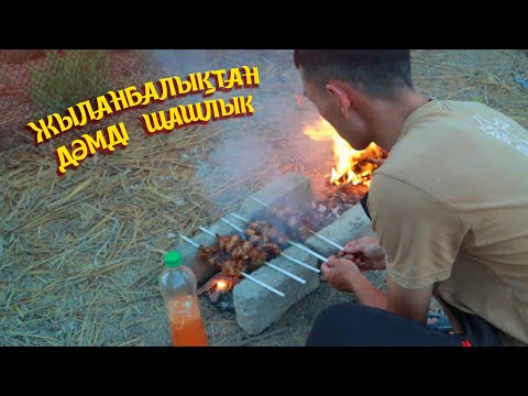 Видео: ЖЕСЕҢ АУЗЫҢНАН ДӘМІ КЕТПЕЙТІН, ЖЫЛАНБАЛЫҚТАН ШАШЛЫК
