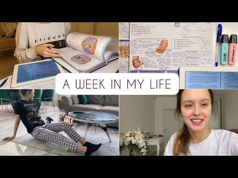 Видео: Неделя из жизни студента медика #2 | готовлюсь к экзаменам | week in the life vlog
