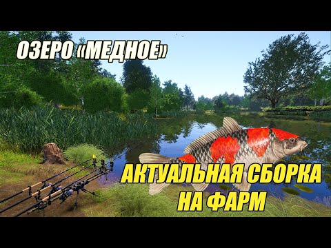 Видео: "МЕДНОЕ", АКТУАЛЬНАЯ СБОРКА НА ФАРМ / РУССКАЯ РЫБАЛКА 4