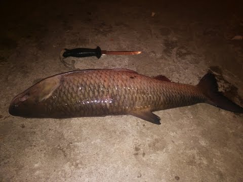 Видео: Самый лучший нож,для подводной охоты.