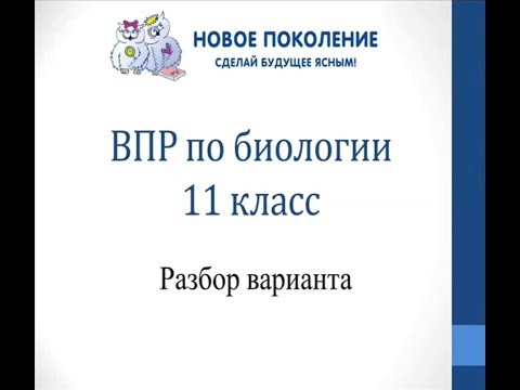 Видео: Биология. Разбор варианта ВПР по биологии 11 класс