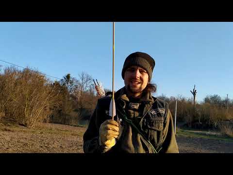 Видео: Как стрелять из лука? Для новичков.