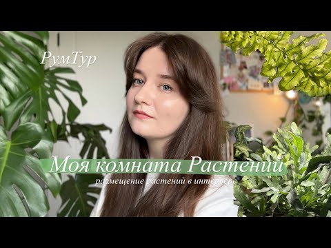 Видео: Растения в интерьере | обзор моей зелёной комнаты