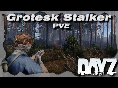 Видео: DAYZ PVE | ВЫЖИВАНИЕ НА ПРОЕКТЕ GROTESK STALKER: ПЕРВАЯ ОХОТА