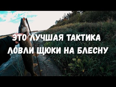 Видео: ЭТО ЛУЧШАЯ ТАКТИКА ЛОВЛИ ЩУКИ* НА БЛЕСНУ и еще несколько секретов!