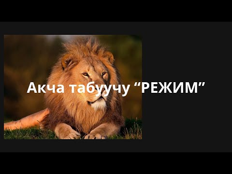 Видео: Акчаны коп табам десениз ушул РЕЖИМДИ жандырыныз!!!