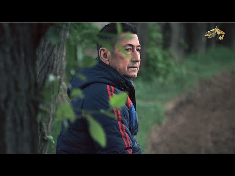 Видео: PRO_Конников. Мастер-тренер Максут Кантакузин. 20 июня 2021. 12:10