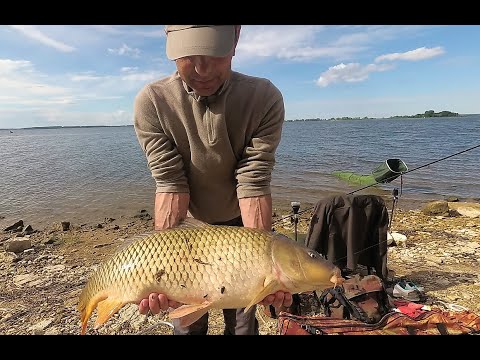 Видео: Рыбалка на Каме. Порадовал сазан.