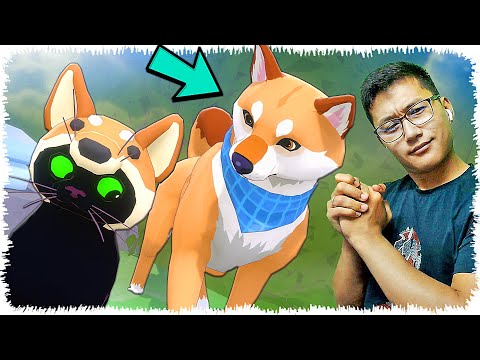Видео: Қара мысықтың жаңа досы 🐕 Добын іздеп көмектестім
