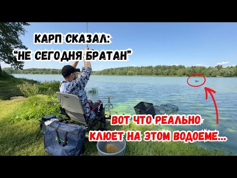 Видео: СЛОЖНЕЙШИЙ ВОДОЕМ: ПРИЕХАЛ ЗА КАРПОМ, НО ПОЙМАЛ…