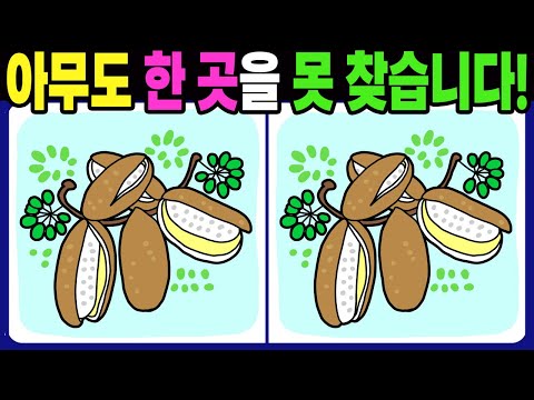 Видео: 【Найди отличия】 Никто не может найти последнее отличие! Тренировка для мозга! #1610