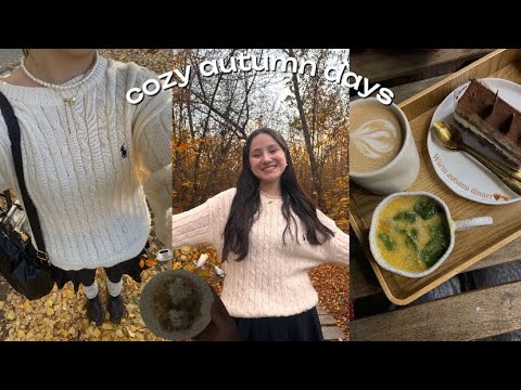 Видео: Осенний влог:любовь к осени🍂🧸☕️