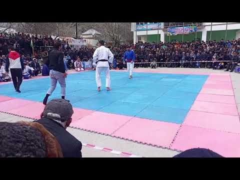 Видео: 23 марта 2024 г.