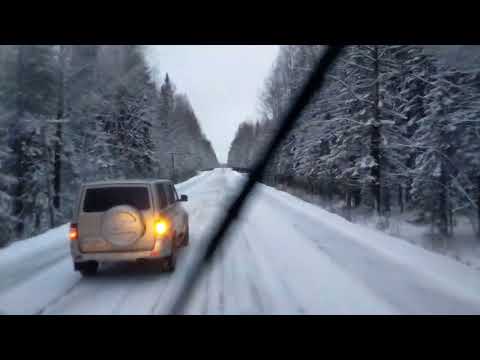 Видео: один день в бизнесе по доставке дров #газ66 #дрова #доставкадров