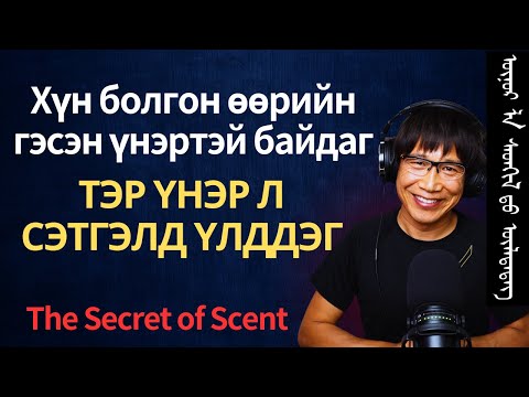 Видео: Үгээр биш — Үнэрээр бид холбогддог