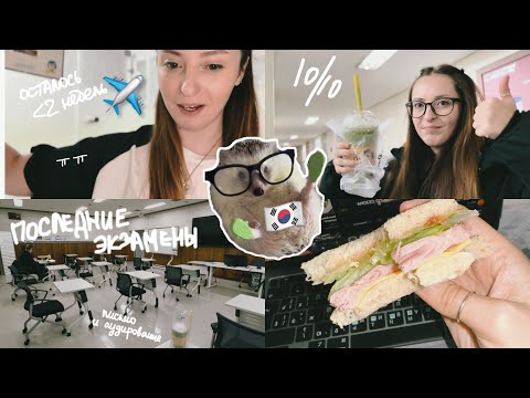 Видео: KOREA VLOG DIARY| мои последние экзамены на курсах корейского в Корее /улетаю домой /др|11-12.2.2025