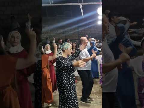 Видео: Камилла Рашидова каиб рустамов  шад хабар 