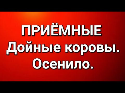 Видео: Приёмные/В последних сериях. 
