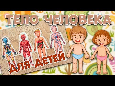 Видео: Учим тело человека. Части тела человека. Занятие для детей. Различение между людьми.