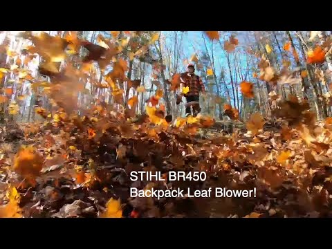 Видео: 487 Ранцевая воздуходувка STIHL BR450. Сожалею ли я? Осенний уход за участком.