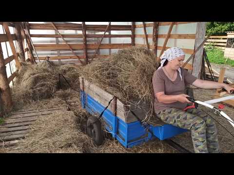 Видео: ЗАГОТОВКА СЕНА. ЧТО  МОЖЕТ ЖЕНЩИНА🙋 НА МОТОБЛОКЕ НЕВА.