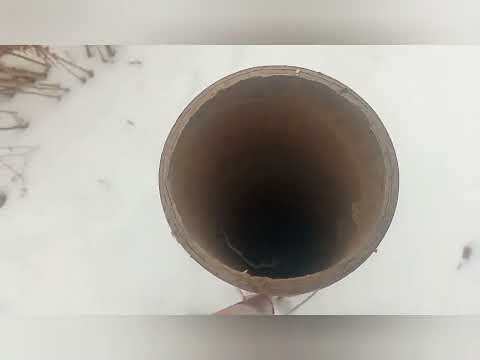 Видео: Чому погано зимують саджанці ХУРМИ