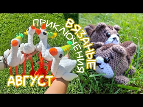 Видео: Вязаные приключения | Август