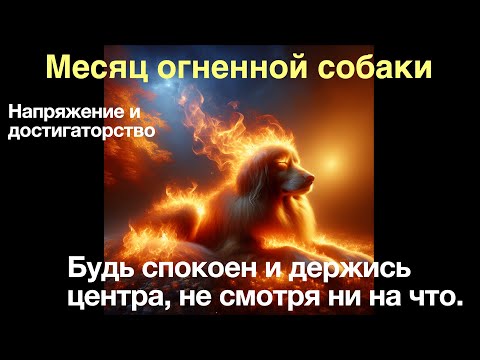 Видео: Месяц огненной собаки (октябрь)