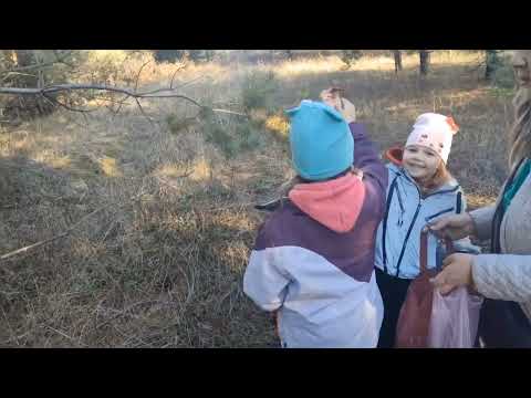 Видео: 🌲🌳🪾🍄‍🟫Не жданно не гадано попали в ЛЕС🌲🌲🌲🌲🍂🍁🍄