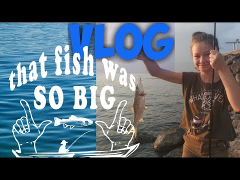 Видео: Vlog: Рыбалка в Израиле| Сумасшедший клёв