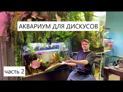 Видео: Создаем в офисе АКВАРИУМПЕРМЬ.РФ аквариум для дискусов - часть 2 / Дискусы от Дмитрия Оболенского