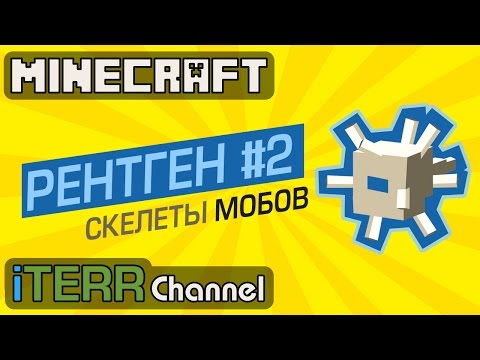 Видео: Minecraft. Новые Скелеты Мобов На Рентгене. #2