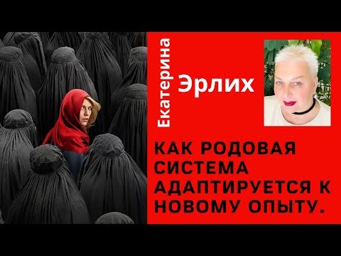 Видео: КАК РОДОВАЯ СИСТЕМА АДАПТИРУЕТСЯ К НОВОМУ ОПЫТУ. Психолог Екатерина Эрлих