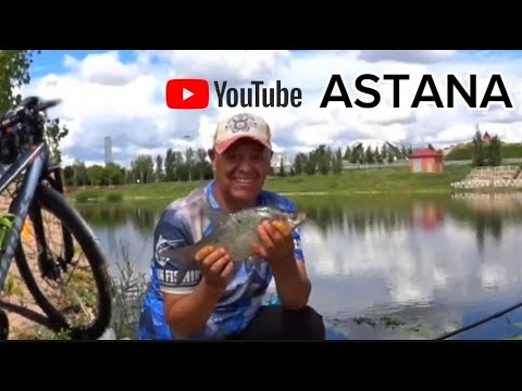 Видео: Летняя рыбалка! Рыбалка на донку  на реке Есиль! River fishing Kazakhstan.