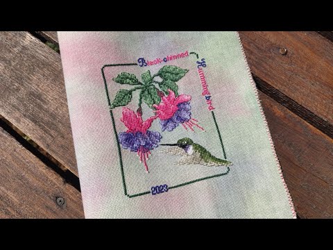 Видео: Колибри "Black-chinned Hummingbird" от Crossed Wing Collection