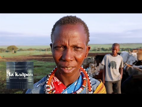 Видео: Кения. Обряды масаев. Часть 2 🎥 За кадром 🌏 Моя Планета
