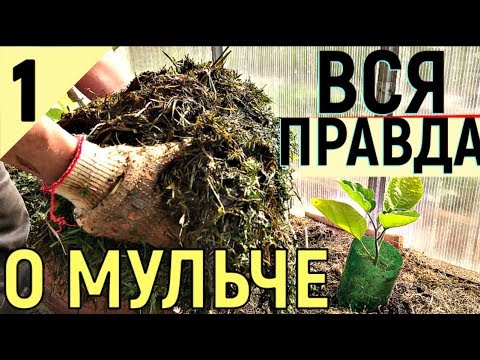 Видео: АКТИВНАЯ МУЛЬЧА   КАК ПОВЫСИТЬ ПЛОДОРОДИЕ