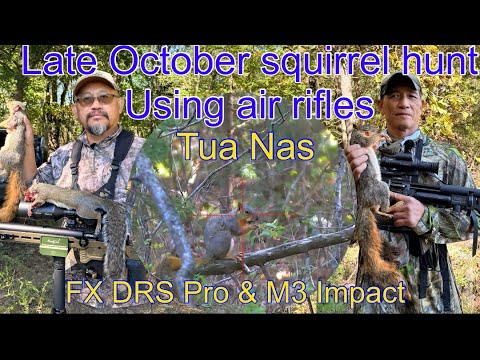 Видео: В конце октября снимается лимит охоты на белок с использованием пневматической винтовки |FX DRS P...