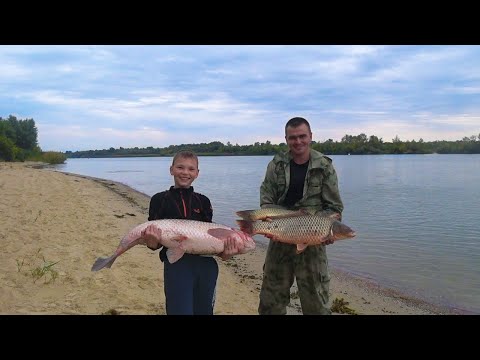 Видео: БЕЗУМНЫЙ КЛЁВ !!! ДОН!!!!