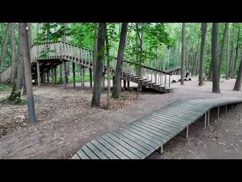 Видео: 25 сентября 2025 г.