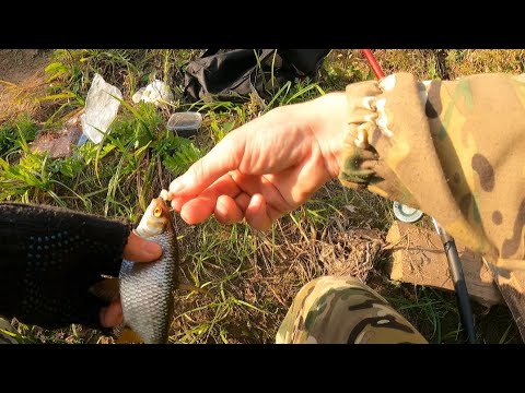 Видео: Таинственная дорога привела к дамбе.Шаг назад.